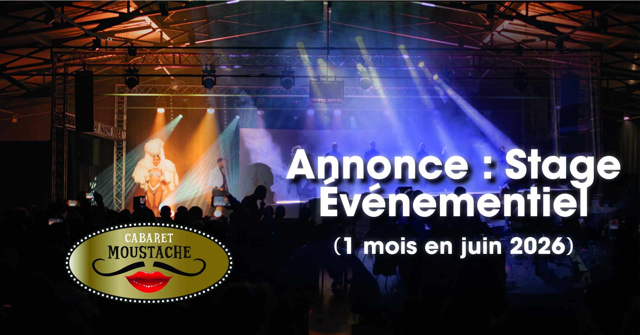 vignette stage site
